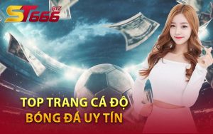 Top Trang Cá Độ Bóng Đá Uy Tín